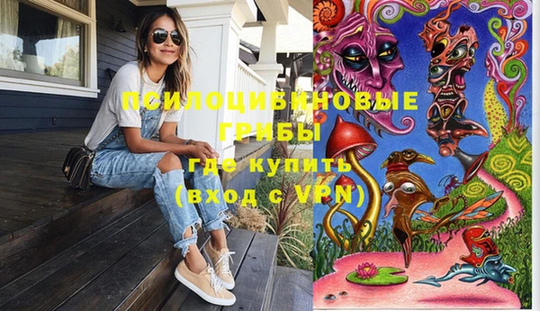 тгк Арсеньев