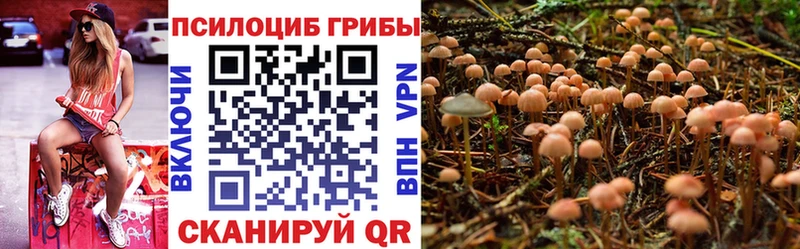 Галлюциногенные грибы мухоморы  закладка  Урус-Мартан 