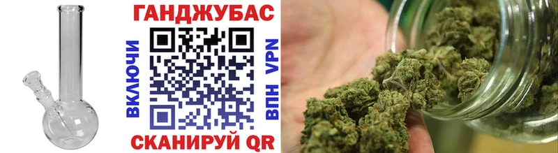 Марихуана сатива  Урус-Мартан 